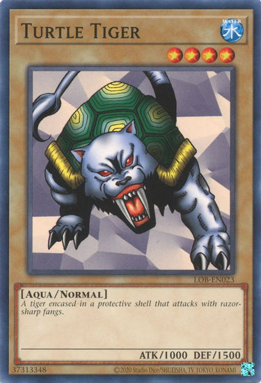 Turtle Tiger | LOB-EN023
